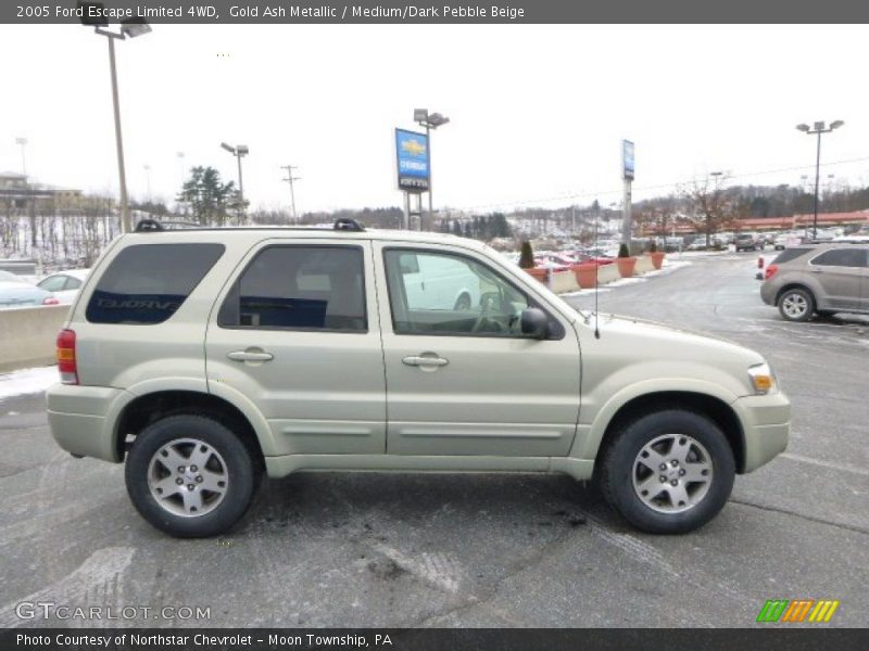 Gold Ash Metallic / Medium/Dark Pebble Beige 2005 Ford Escape Limited 4WD