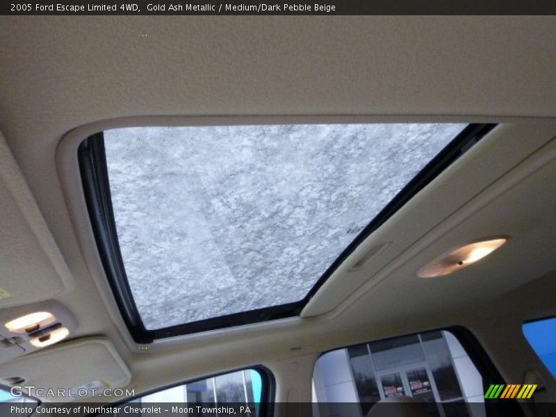 Gold Ash Metallic / Medium/Dark Pebble Beige 2005 Ford Escape Limited 4WD