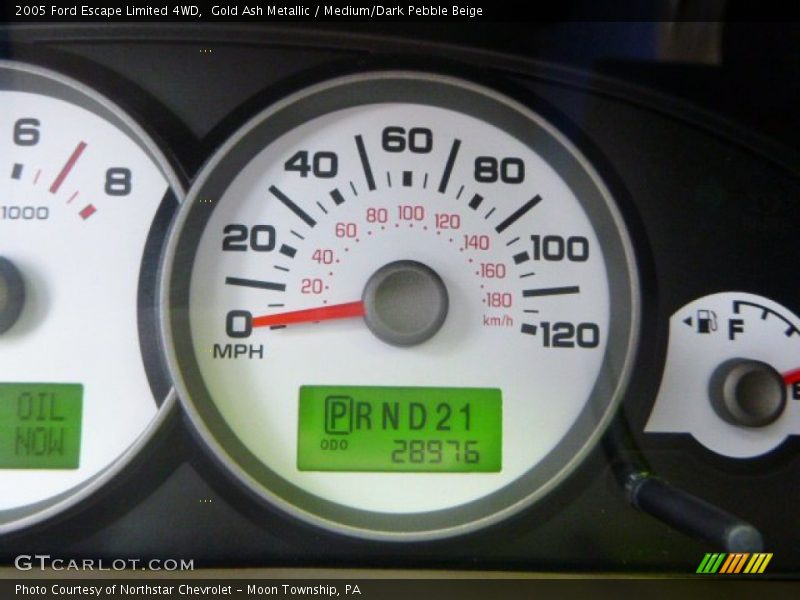Gold Ash Metallic / Medium/Dark Pebble Beige 2005 Ford Escape Limited 4WD