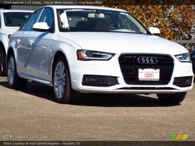 Glacier White Metallic / Velvet Beige/Black 2014 Audi A4 2.0T Sedan