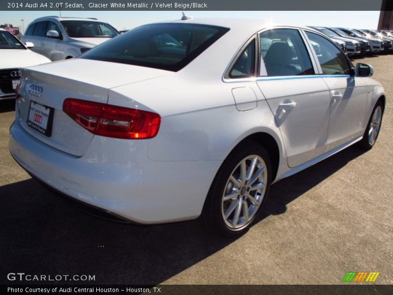 Glacier White Metallic / Velvet Beige/Black 2014 Audi A4 2.0T Sedan