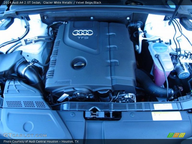 Glacier White Metallic / Velvet Beige/Black 2014 Audi A4 2.0T Sedan