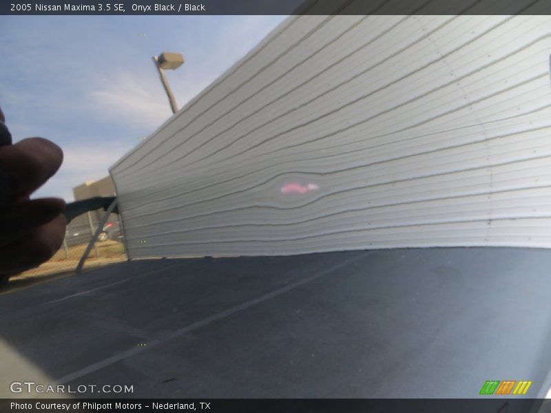 Onyx Black / Black 2005 Nissan Maxima 3.5 SE