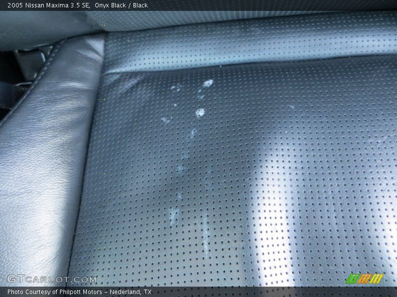 Onyx Black / Black 2005 Nissan Maxima 3.5 SE