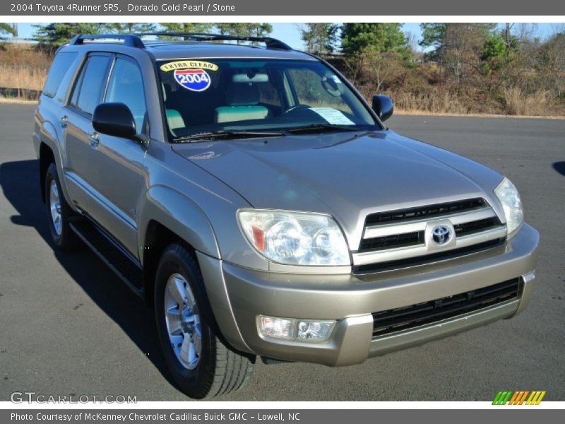 Dorado Gold Pearl / Stone 2004 Toyota 4Runner SR5