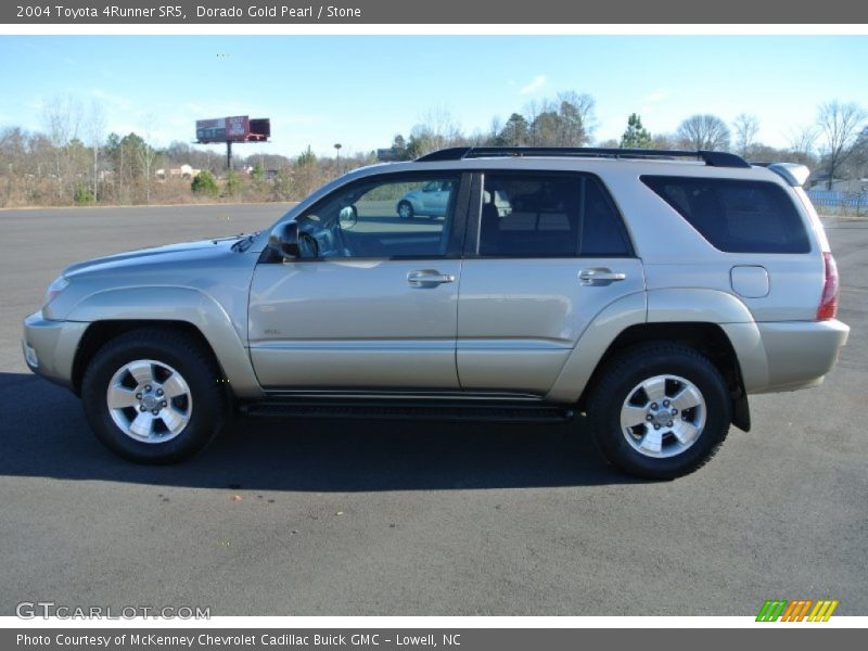 Dorado Gold Pearl / Stone 2004 Toyota 4Runner SR5