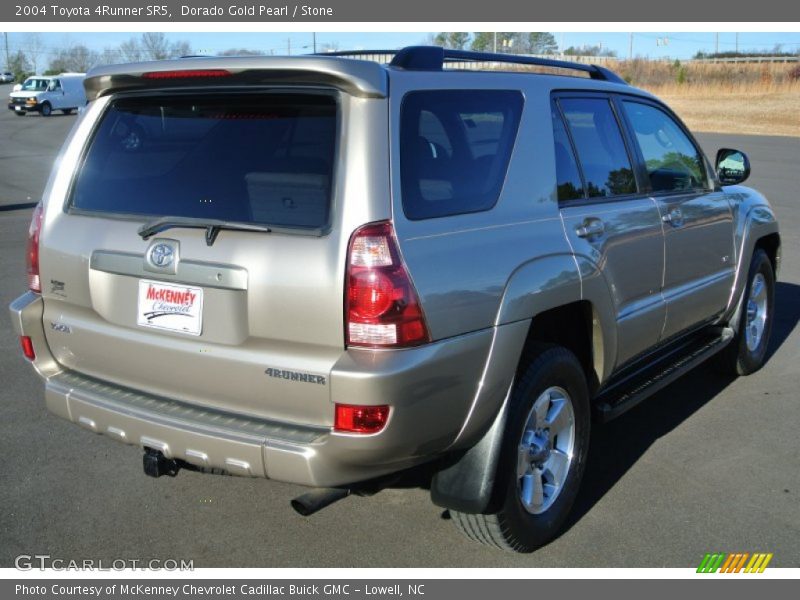 Dorado Gold Pearl / Stone 2004 Toyota 4Runner SR5