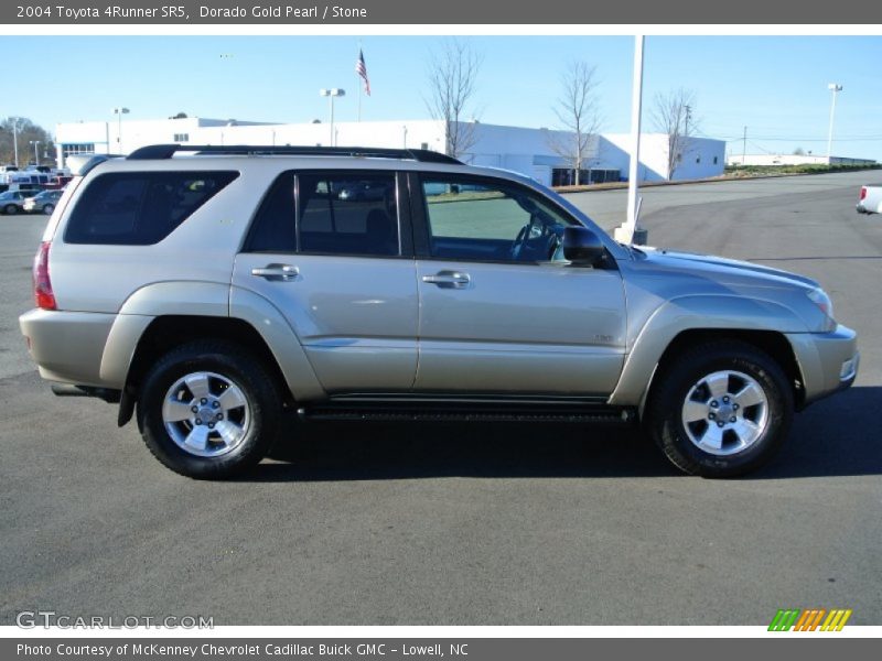 Dorado Gold Pearl / Stone 2004 Toyota 4Runner SR5