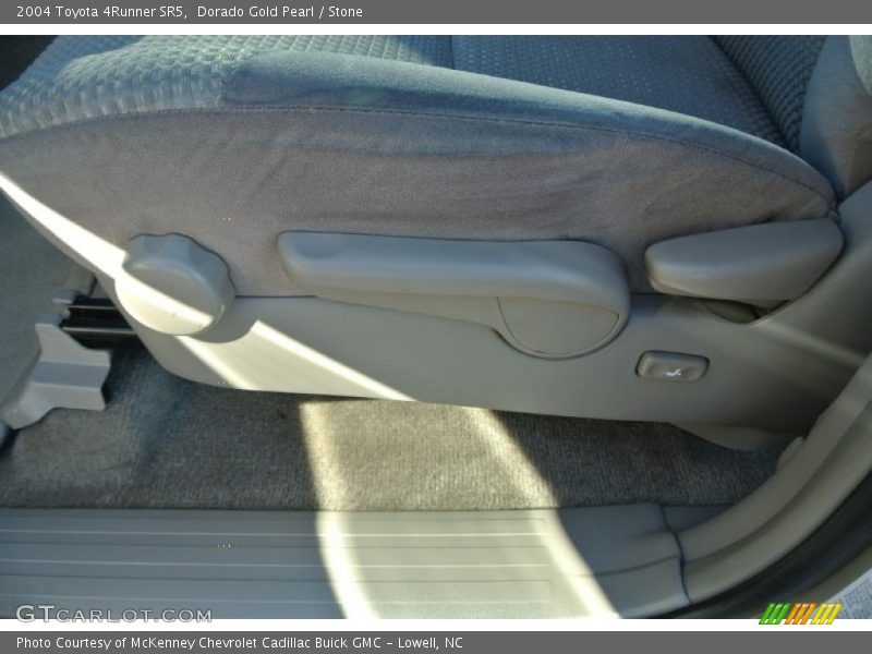 Dorado Gold Pearl / Stone 2004 Toyota 4Runner SR5