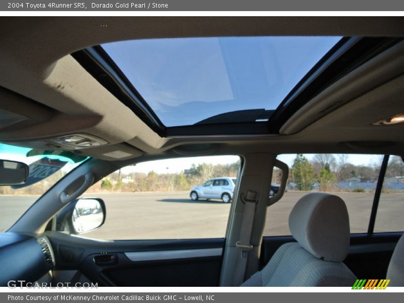 Dorado Gold Pearl / Stone 2004 Toyota 4Runner SR5