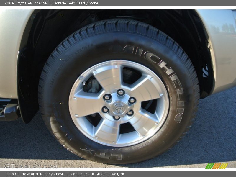 Dorado Gold Pearl / Stone 2004 Toyota 4Runner SR5