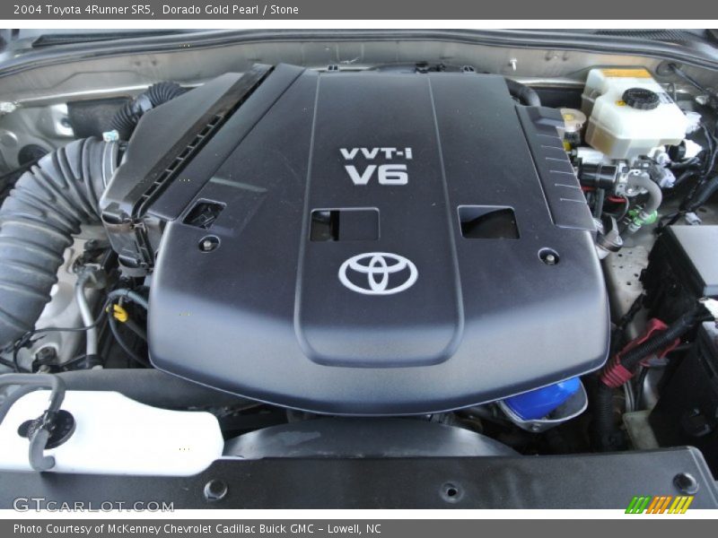 Dorado Gold Pearl / Stone 2004 Toyota 4Runner SR5