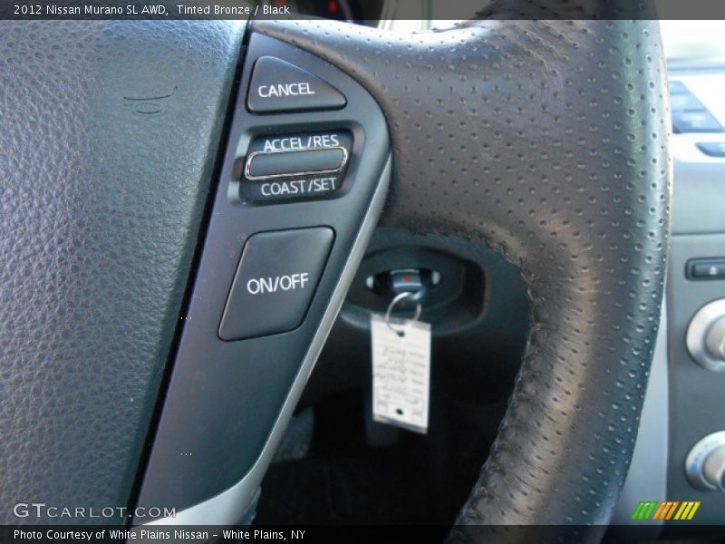 Tinted Bronze / Black 2012 Nissan Murano SL AWD