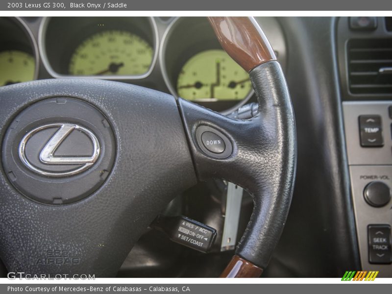 Black Onyx / Saddle 2003 Lexus GS 300