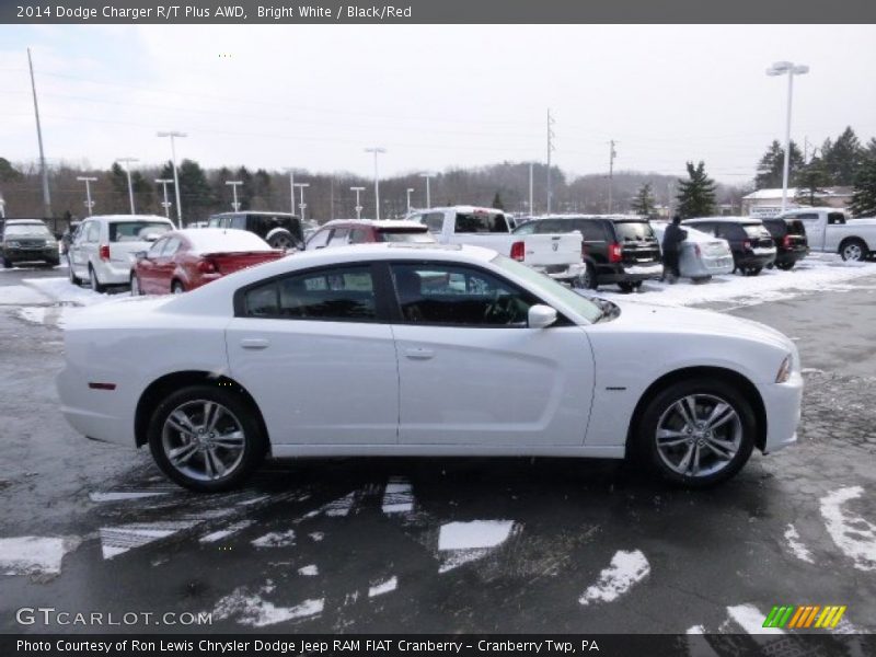 Bright White / Black/Red 2014 Dodge Charger R/T Plus AWD