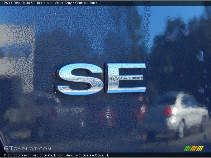 Violet Gray / Charcoal Black 2013 Ford Fiesta SE Hatchback