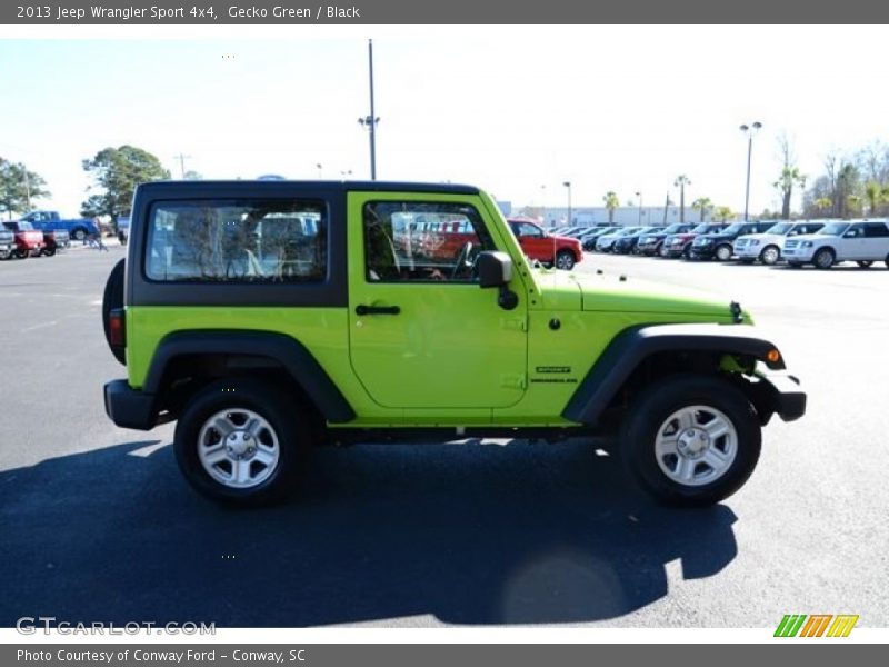 Gecko Green / Black 2013 Jeep Wrangler Sport 4x4