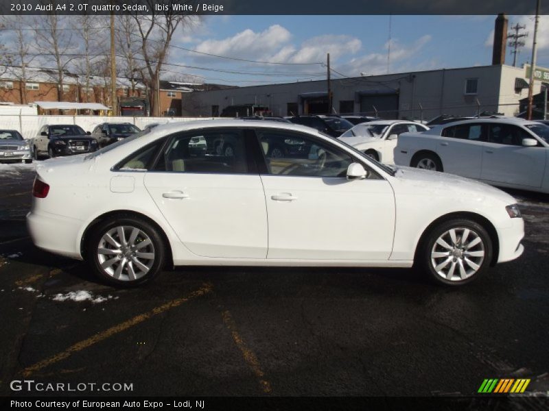 Ibis White / Beige 2010 Audi A4 2.0T quattro Sedan