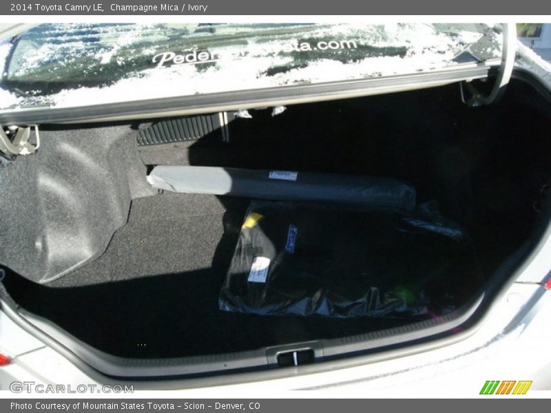 Champagne Mica / Ivory 2014 Toyota Camry LE