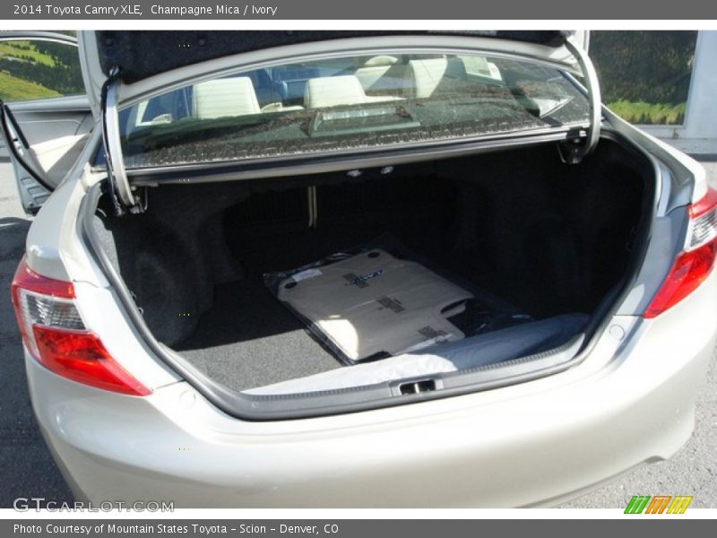Champagne Mica / Ivory 2014 Toyota Camry XLE