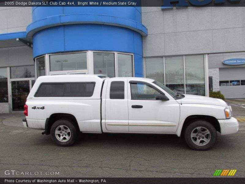 Bright White / Medium Slate Gray 2005 Dodge Dakota SLT Club Cab 4x4