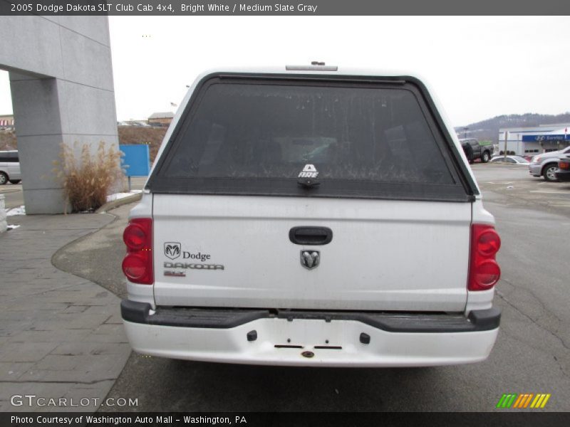 Bright White / Medium Slate Gray 2005 Dodge Dakota SLT Club Cab 4x4