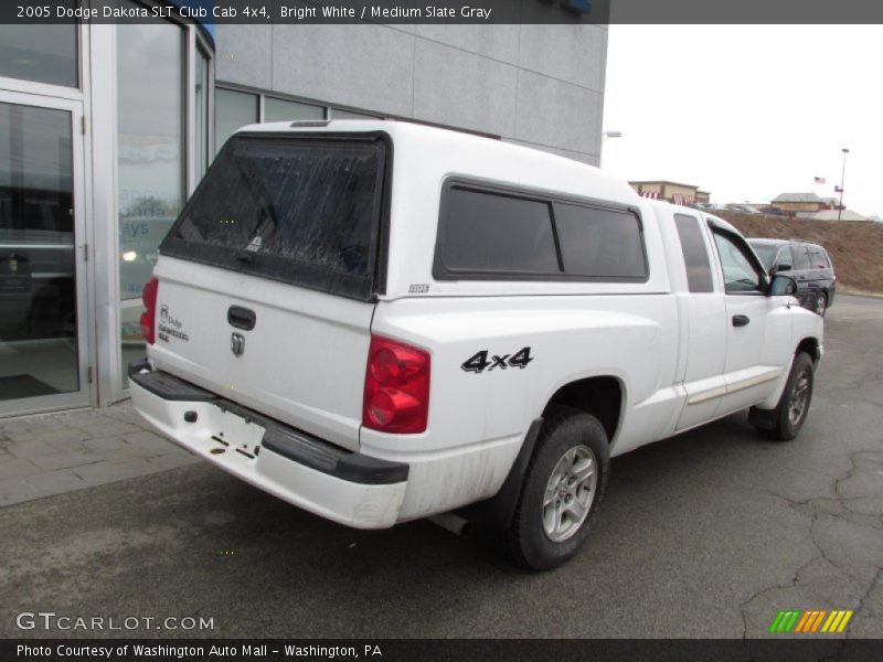 Bright White / Medium Slate Gray 2005 Dodge Dakota SLT Club Cab 4x4
