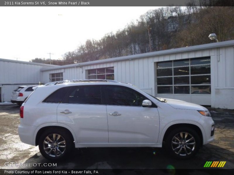 Snow White Pearl / Black 2011 Kia Sorento SX V6