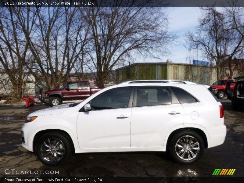 Snow White Pearl / Black 2011 Kia Sorento SX V6