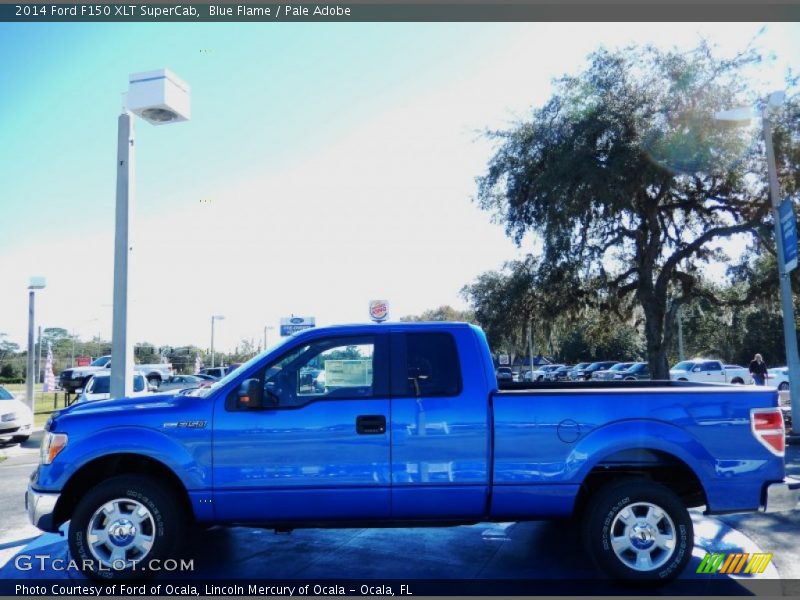 Blue Flame / Pale Adobe 2014 Ford F150 XLT SuperCab