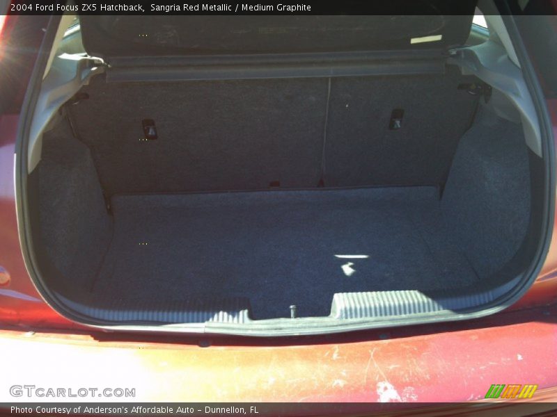Sangria Red Metallic / Medium Graphite 2004 Ford Focus ZX5 Hatchback