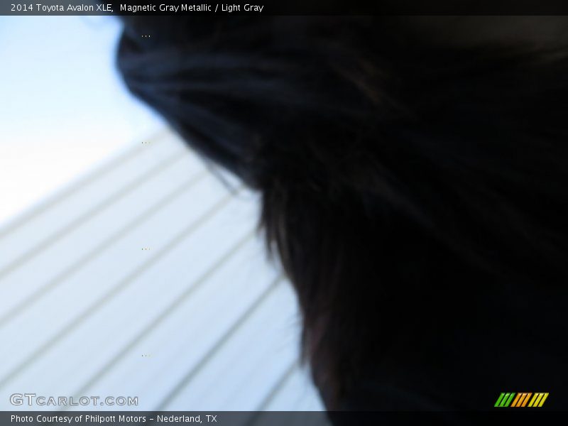Magnetic Gray Metallic / Light Gray 2014 Toyota Avalon XLE