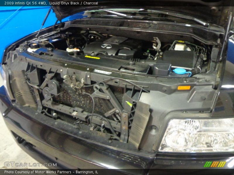 Liquid Onyx Black / Charcoal 2009 Infiniti QX 56 4WD