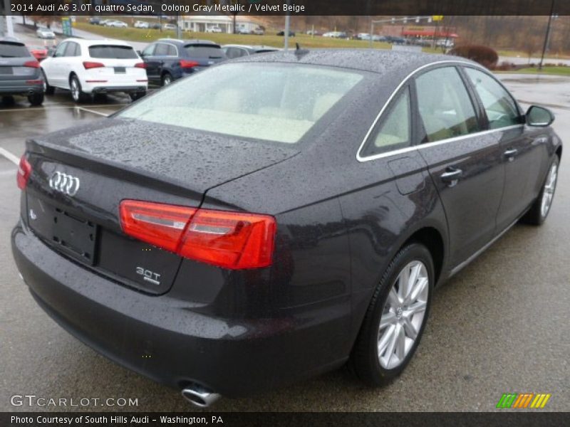 Oolong Gray Metallic / Velvet Beige 2014 Audi A6 3.0T quattro Sedan