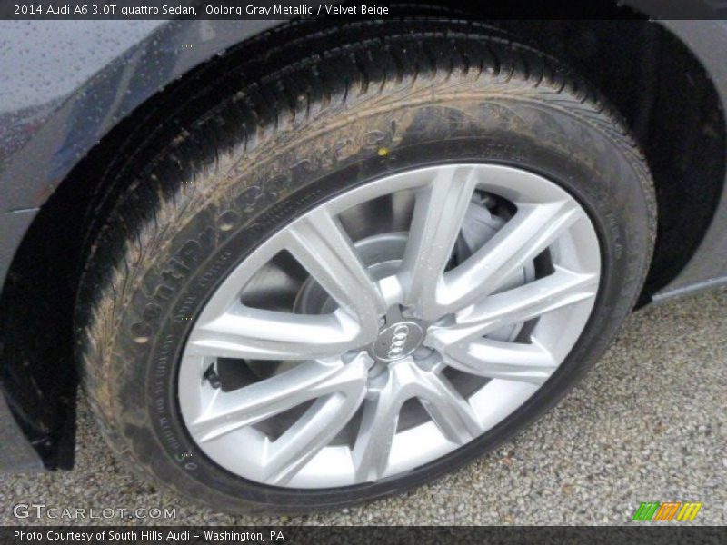 Oolong Gray Metallic / Velvet Beige 2014 Audi A6 3.0T quattro Sedan