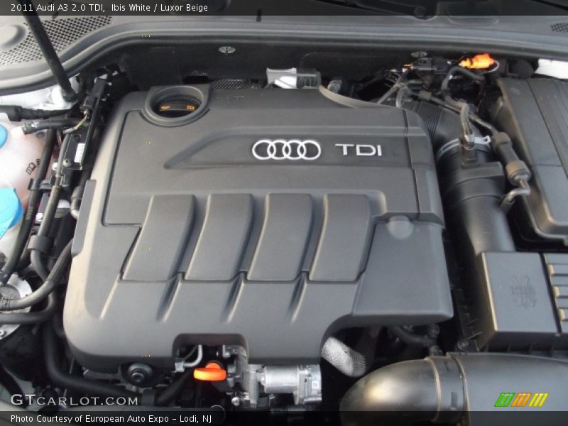  2011 A3 2.0 TDI Engine - 2.0 Liter TDI VTG Turbocharged DOHC 16-Valve Diesel 4 Cylinder
