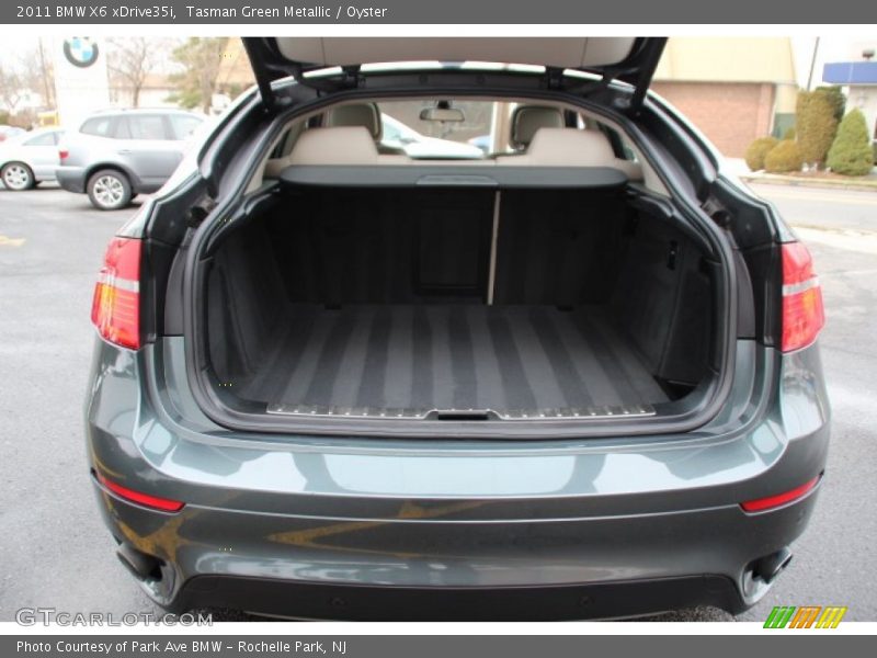 Tasman Green Metallic / Oyster 2011 BMW X6 xDrive35i
