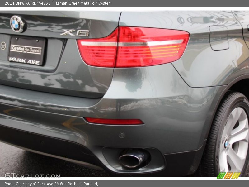 Tasman Green Metallic / Oyster 2011 BMW X6 xDrive35i