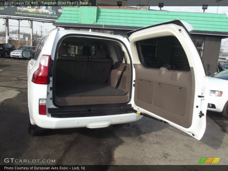 Tungsten Silver Pearl / Black 2010 Lexus GX 460