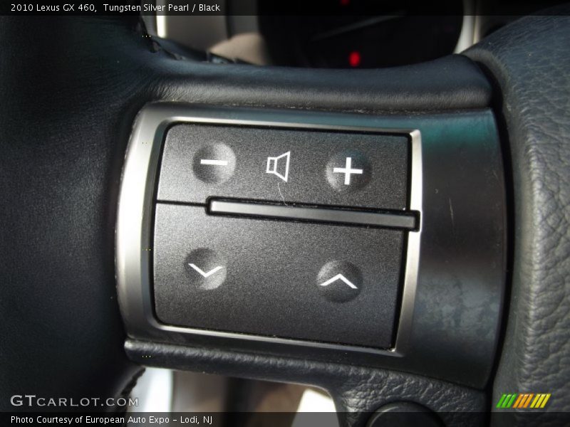 Tungsten Silver Pearl / Black 2010 Lexus GX 460