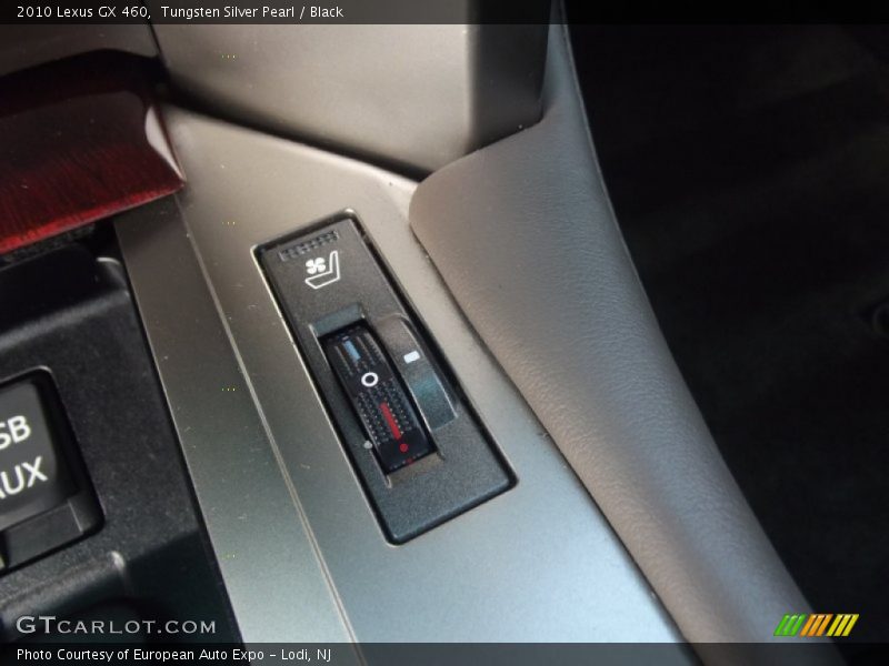 Tungsten Silver Pearl / Black 2010 Lexus GX 460
