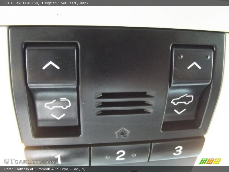 Tungsten Silver Pearl / Black 2010 Lexus GX 460