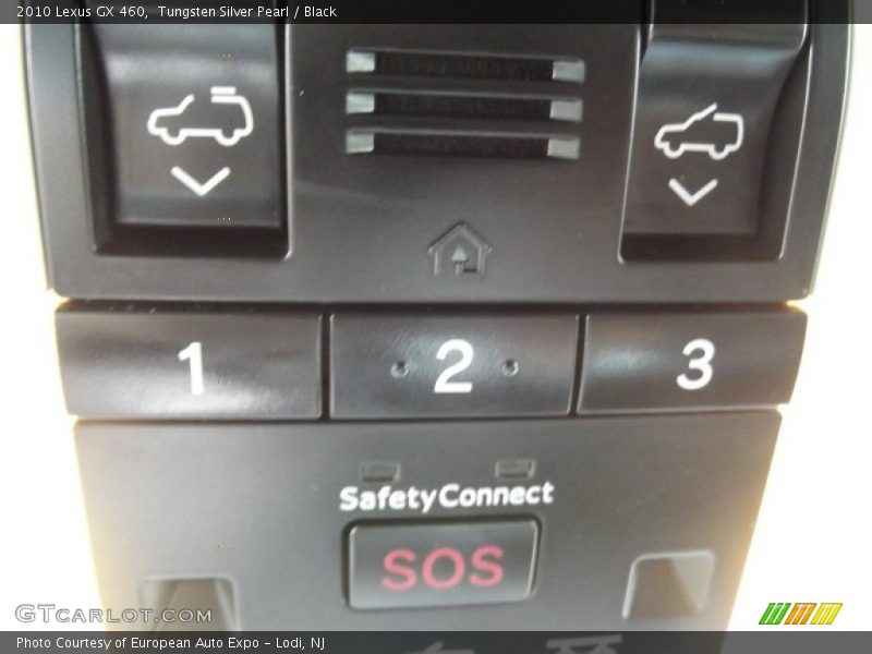 Tungsten Silver Pearl / Black 2010 Lexus GX 460