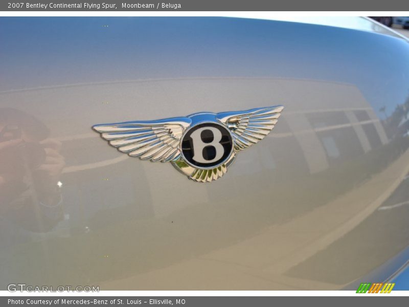 Moonbeam / Beluga 2007 Bentley Continental Flying Spur