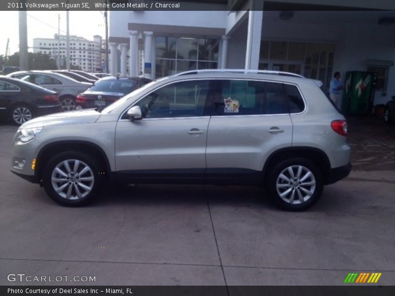 White Gold Metallic / Charcoal 2011 Volkswagen Tiguan SE