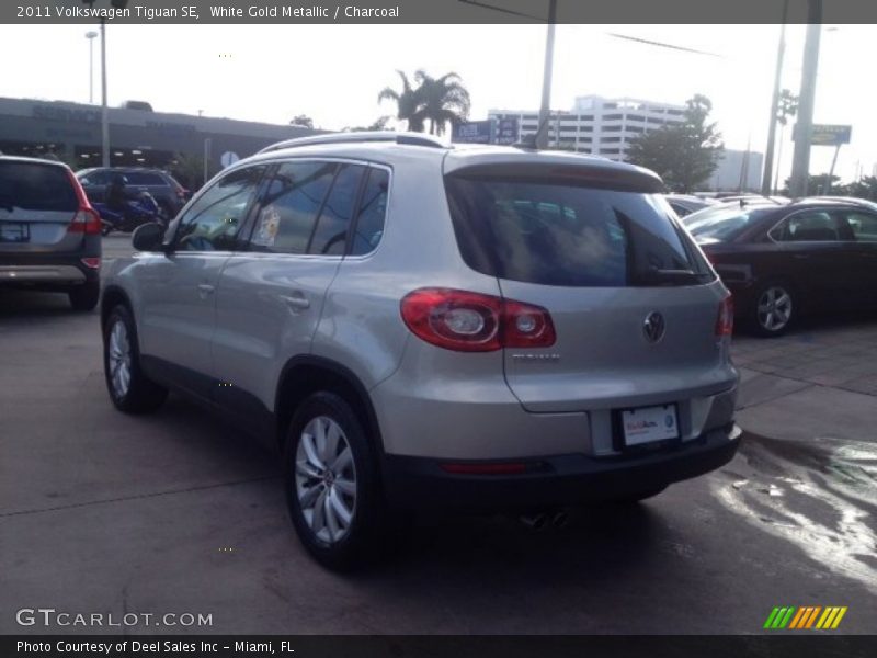 White Gold Metallic / Charcoal 2011 Volkswagen Tiguan SE