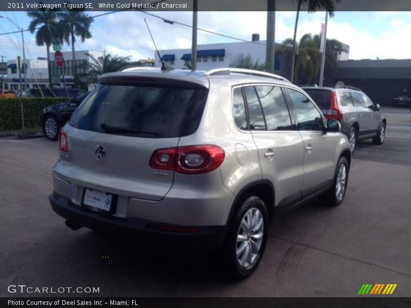 White Gold Metallic / Charcoal 2011 Volkswagen Tiguan SE