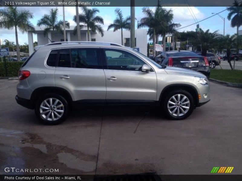 White Gold Metallic / Charcoal 2011 Volkswagen Tiguan SE