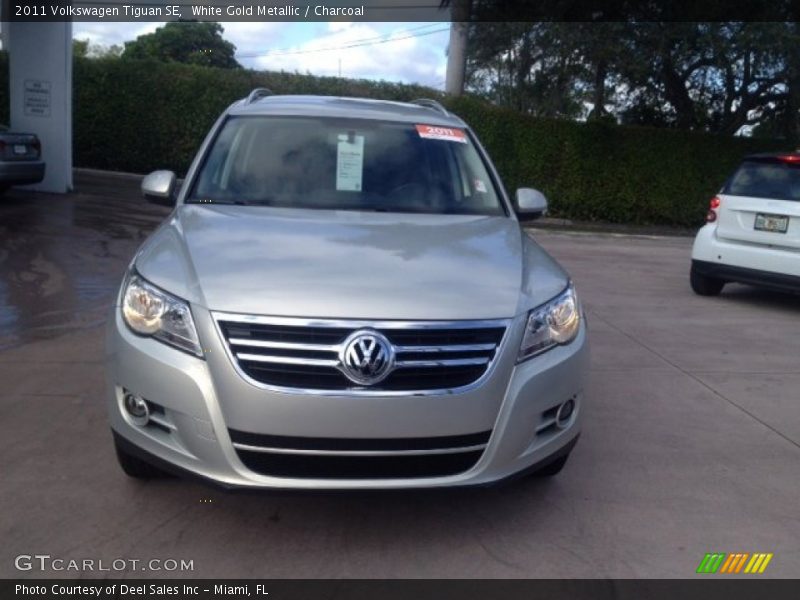 White Gold Metallic / Charcoal 2011 Volkswagen Tiguan SE