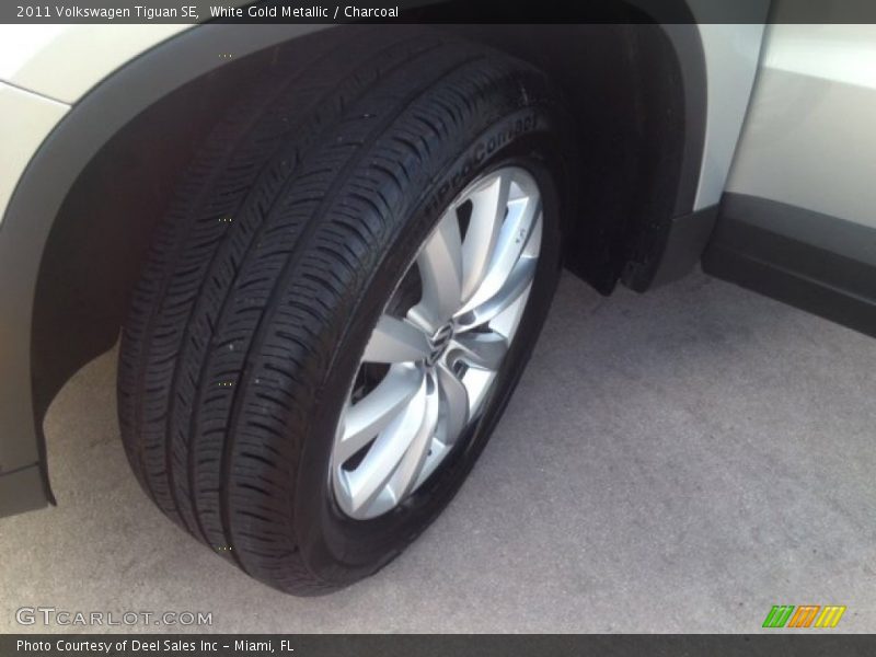 White Gold Metallic / Charcoal 2011 Volkswagen Tiguan SE